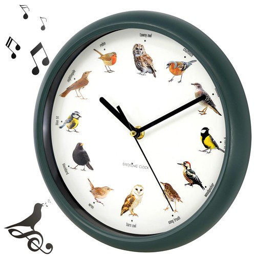 Geezy singing bird - geezy,